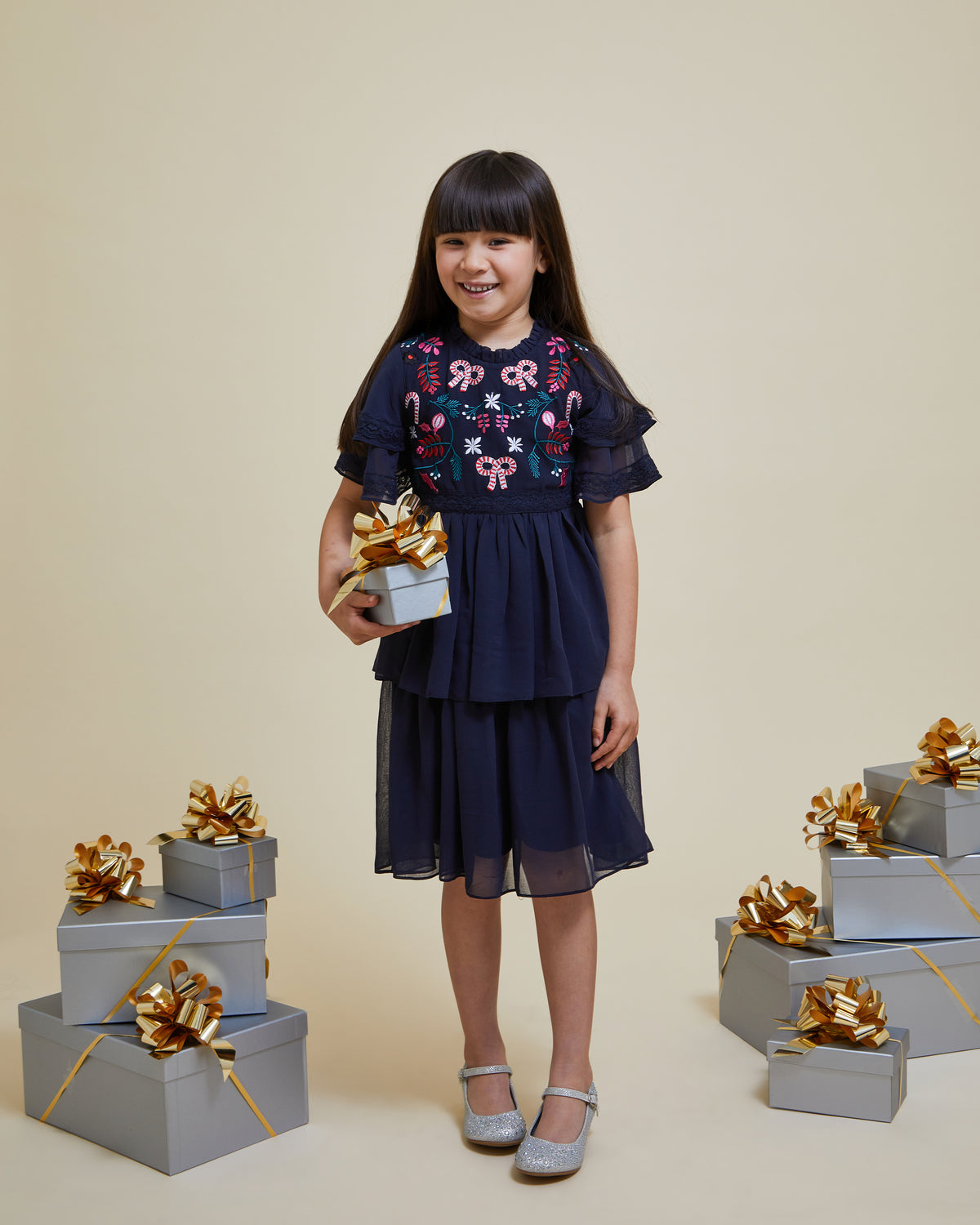 Alvie Navy Christmas Embroidered Dress