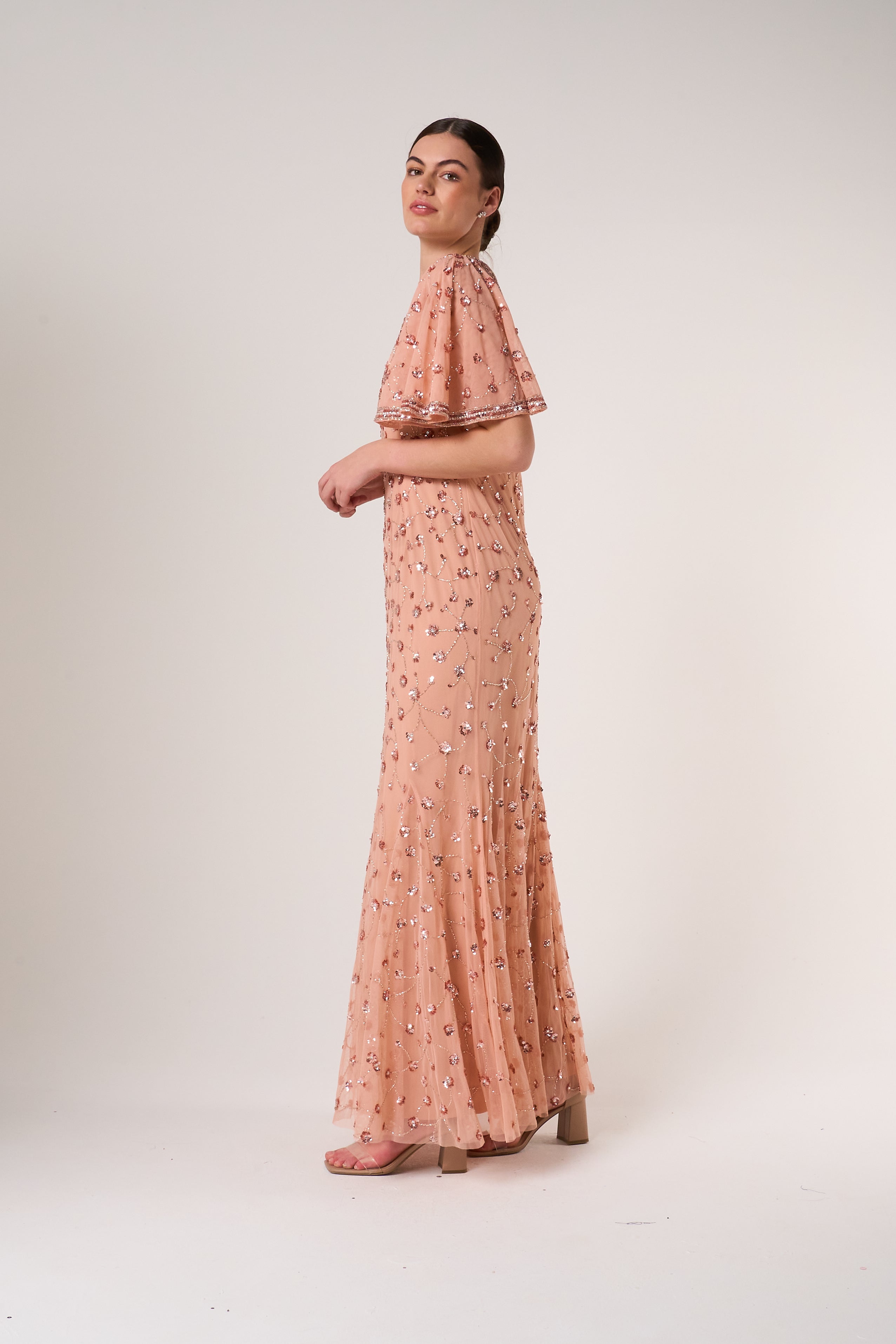 Amandine Blush Embellished Maxi Dress