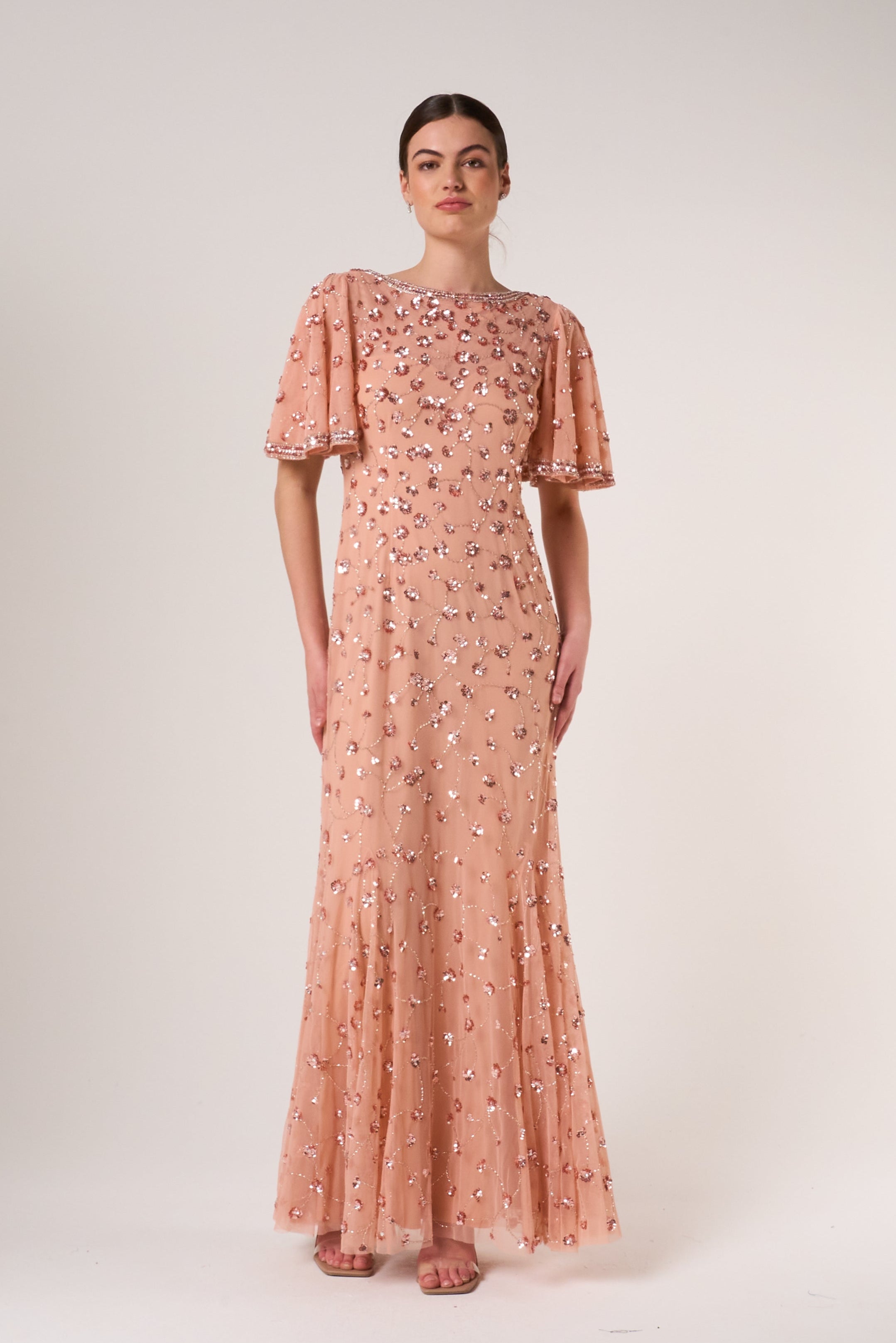 Amandine Blush Embellished Maxi Dress