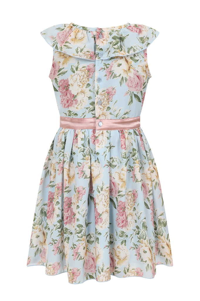 Billie Floral Print Dress with Collar