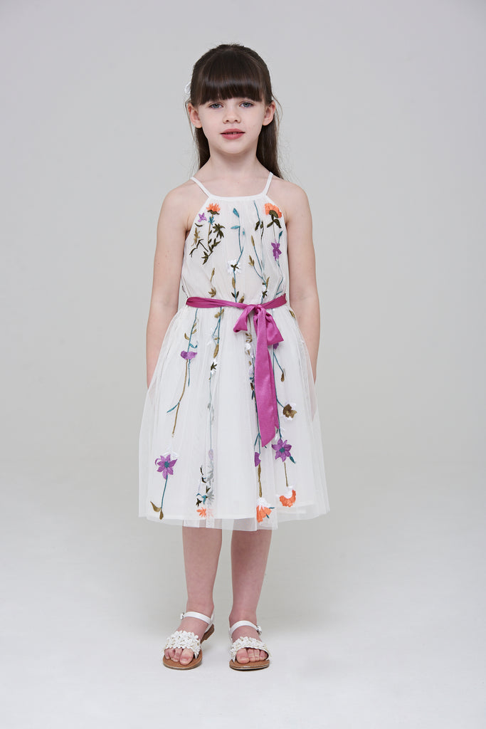 Posy Floral Embroidered Dress
