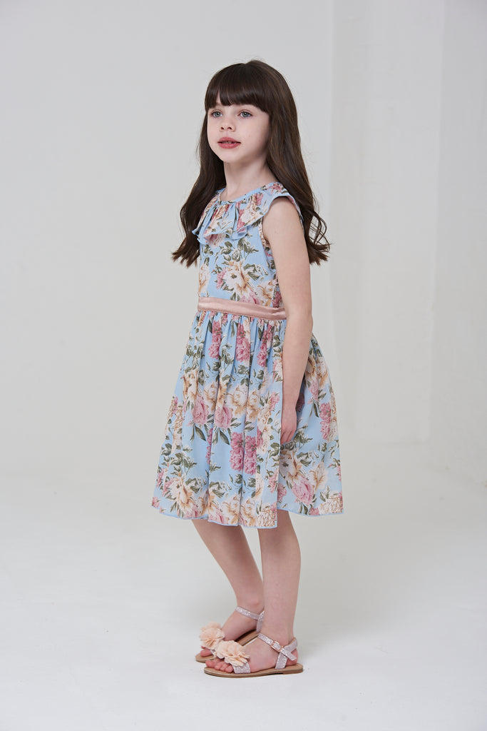 Billie Floral Print Dress with Collar
