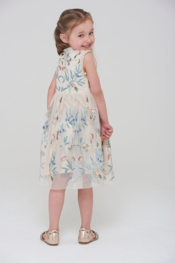 Trixie Floral Embroidered Dress