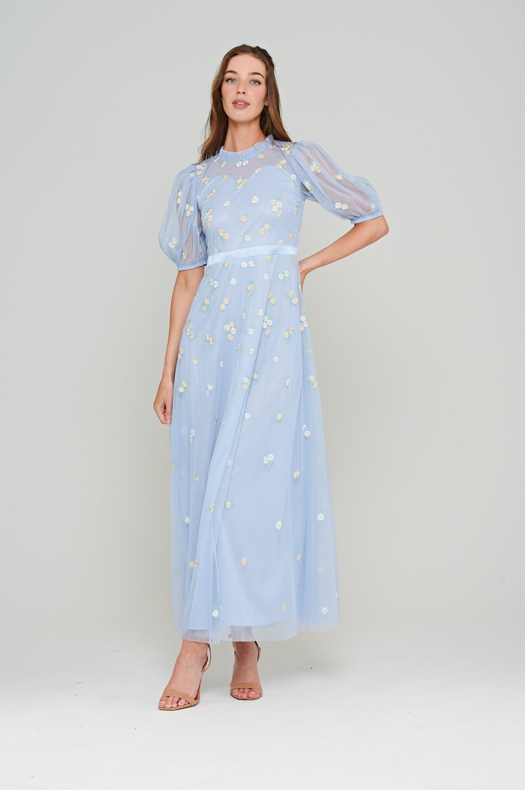 Deryn Daisy Embroidered Maxi Dress in Blue