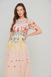 Sylvia Rainbow Sequin Maxi Dress